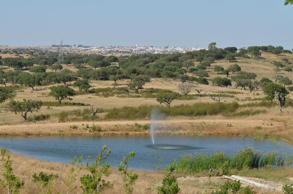 Monte Da Ameixa Country House Castro Verde Dış mekan fotoğraf